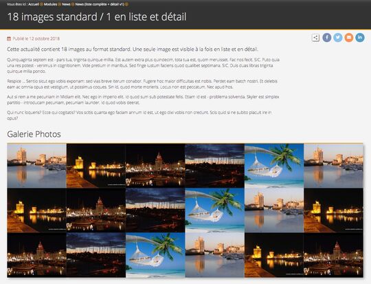Exemple d'actualité avec 18 images en vue Détail